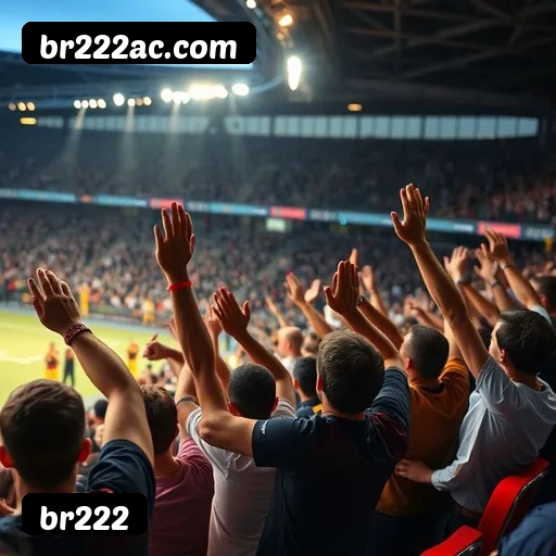 Tabela RTP dos jogos de cassino da br222