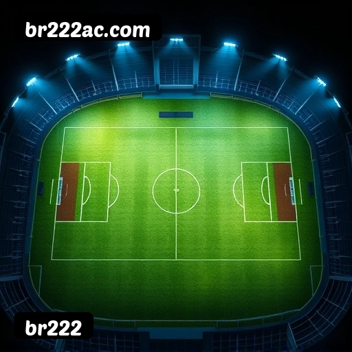 App br222 para iOS e Android — interface mobile, login biométrico e PIX integrado