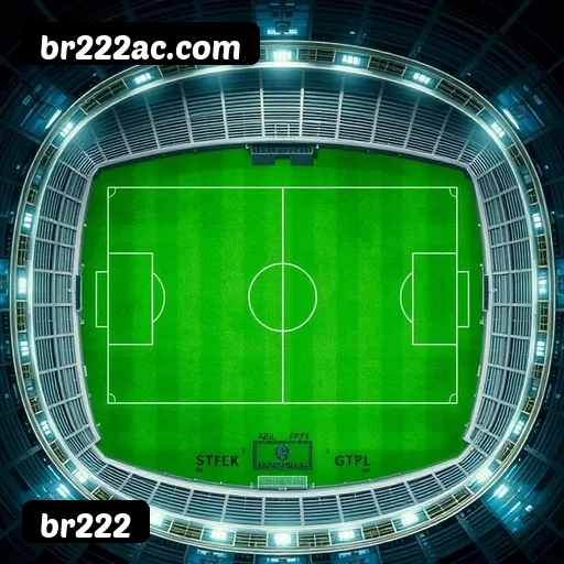 Níveis do programa VIP da br222